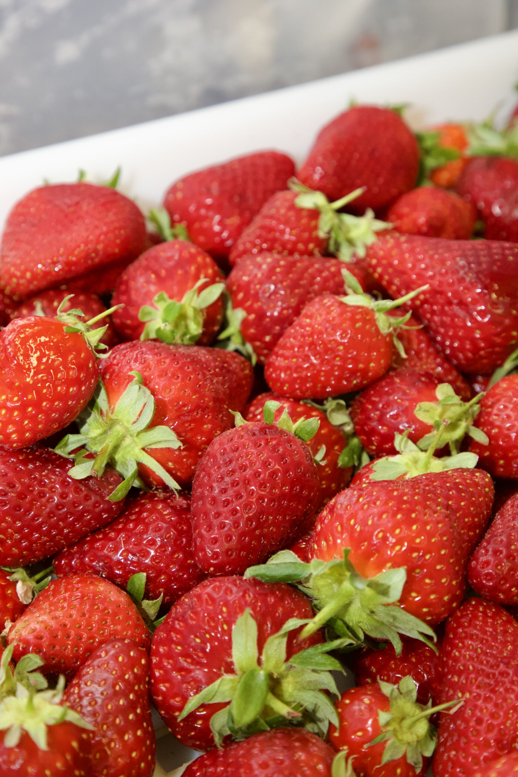 fraise maison areni